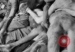 Image of prisoners Dachau Germany, 1945, second 56 stock footage video 65675055245