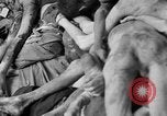 Image of prisoners Dachau Germany, 1945, second 59 stock footage video 65675055245