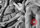 Image of prisoners Dachau Germany, 1945, second 62 stock footage video 65675055245