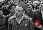 Image of interview of prisoner Dachau Germany, 1945, second 19 stock footage video 65675055247