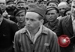 Image of interview of prisoner Dachau Germany, 1945, second 41 stock footage video 65675055247