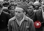 Image of interview of prisoner Dachau Germany, 1945, second 42 stock footage video 65675055247