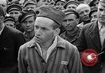 Image of interview of prisoner Dachau Germany, 1945, second 53 stock footage video 65675055247
