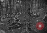 Image of murdered Jewish slave laborers World War 2 Neunburg Germany, 1945, second 9 stock footage video 65675055250