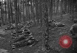 Image of murdered Jewish slave laborers World War 2 Neunburg Germany, 1945, second 12 stock footage video 65675055250