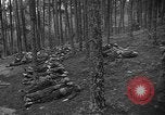 Image of murdered Jewish slave laborers World War 2 Neunburg Germany, 1945, second 16 stock footage video 65675055250