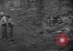 Image of murdered Jewish slave laborers World War 2 Neunburg Germany, 1945, second 21 stock footage video 65675055250