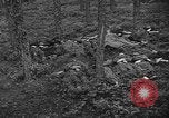 Image of murdered Jewish slave laborers World War 2 Neunburg Germany, 1945, second 22 stock footage video 65675055250