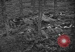 Image of murdered Jewish slave laborers World War 2 Neunburg Germany, 1945, second 23 stock footage video 65675055250