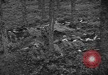 Image of murdered Jewish slave laborers World War 2 Neunburg Germany, 1945, second 24 stock footage video 65675055250