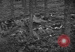 Image of murdered Jewish slave laborers World War 2 Neunburg Germany, 1945, second 25 stock footage video 65675055250