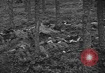 Image of murdered Jewish slave laborers World War 2 Neunburg Germany, 1945, second 26 stock footage video 65675055250