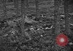 Image of murdered Jewish slave laborers World War 2 Neunburg Germany, 1945, second 27 stock footage video 65675055250