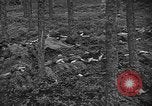 Image of murdered Jewish slave laborers World War 2 Neunburg Germany, 1945, second 28 stock footage video 65675055250