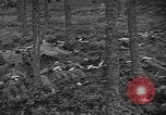 Image of murdered Jewish slave laborers World War 2 Neunburg Germany, 1945, second 29 stock footage video 65675055250