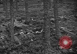 Image of murdered Jewish slave laborers World War 2 Neunburg Germany, 1945, second 30 stock footage video 65675055250