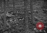 Image of murdered Jewish slave laborers World War 2 Neunburg Germany, 1945, second 31 stock footage video 65675055250