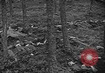 Image of murdered Jewish slave laborers World War 2 Neunburg Germany, 1945, second 32 stock footage video 65675055250