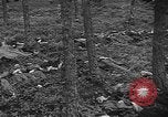 Image of murdered Jewish slave laborers World War 2 Neunburg Germany, 1945, second 33 stock footage video 65675055250