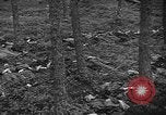 Image of murdered Jewish slave laborers World War 2 Neunburg Germany, 1945, second 34 stock footage video 65675055250