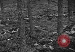 Image of murdered Jewish slave laborers World War 2 Neunburg Germany, 1945, second 35 stock footage video 65675055250