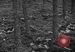 Image of murdered Jewish slave laborers World War 2 Neunburg Germany, 1945, second 36 stock footage video 65675055250