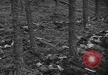 Image of murdered Jewish slave laborers World War 2 Neunburg Germany, 1945, second 37 stock footage video 65675055250