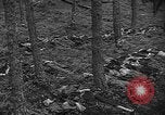 Image of murdered Jewish slave laborers World War 2 Neunburg Germany, 1945, second 38 stock footage video 65675055250