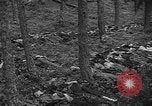Image of murdered Jewish slave laborers World War 2 Neunburg Germany, 1945, second 39 stock footage video 65675055250
