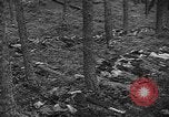 Image of murdered Jewish slave laborers World War 2 Neunburg Germany, 1945, second 40 stock footage video 65675055250