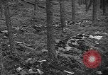 Image of murdered Jewish slave laborers World War 2 Neunburg Germany, 1945, second 41 stock footage video 65675055250