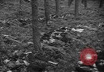 Image of murdered Jewish slave laborers World War 2 Neunburg Germany, 1945, second 43 stock footage video 65675055250