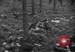 Image of murdered Jewish slave laborers World War 2 Neunburg Germany, 1945, second 44 stock footage video 65675055250