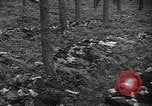 Image of murdered Jewish slave laborers World War 2 Neunburg Germany, 1945, second 45 stock footage video 65675055250