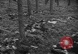 Image of murdered Jewish slave laborers World War 2 Neunburg Germany, 1945, second 46 stock footage video 65675055250