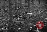 Image of murdered Jewish slave laborers World War 2 Neunburg Germany, 1945, second 47 stock footage video 65675055250