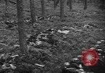 Image of murdered Jewish slave laborers World War 2 Neunburg Germany, 1945, second 48 stock footage video 65675055250