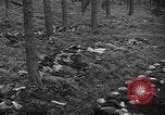 Image of murdered Jewish slave laborers World War 2 Neunburg Germany, 1945, second 49 stock footage video 65675055250