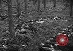 Image of murdered Jewish slave laborers World War 2 Neunburg Germany, 1945, second 50 stock footage video 65675055250