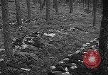 Image of murdered Jewish slave laborers World War 2 Neunburg Germany, 1945, second 53 stock footage video 65675055250
