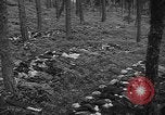 Image of murdered Jewish slave laborers World War 2 Neunburg Germany, 1945, second 54 stock footage video 65675055250