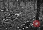 Image of murdered Jewish slave laborers World War 2 Neunburg Germany, 1945, second 55 stock footage video 65675055250