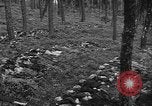 Image of murdered Jewish slave laborers World War 2 Neunburg Germany, 1945, second 56 stock footage video 65675055250