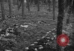 Image of murdered Jewish slave laborers World War 2 Neunburg Germany, 1945, second 57 stock footage video 65675055250