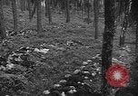 Image of murdered Jewish slave laborers World War 2 Neunburg Germany, 1945, second 58 stock footage video 65675055250