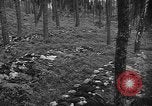 Image of murdered Jewish slave laborers World War 2 Neunburg Germany, 1945, second 59 stock footage video 65675055250