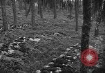 Image of murdered Jewish slave laborers World War 2 Neunburg Germany, 1945, second 61 stock footage video 65675055250