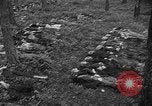 Image of murdered Jewish slave laborers World War 2 Neunburg Germany, 1945, second 62 stock footage video 65675055250