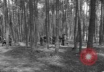 Immagine di I civili tedeschi esumano gli ebrei assassinati Neunburg Germania, 1945, secondo 5 filmato di repertorio 65675055251