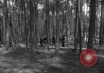Immagine di I civili tedeschi esumano gli ebrei assassinati Neunburg Germania, 1945, secondo 6 filmato di repertorio 65675055251